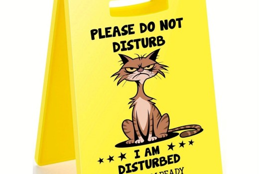 [Review] Humorous Desk Sign - Please Do Not Disturb for Office Spaces